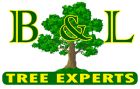 B & L Tree Experts LLC Logo